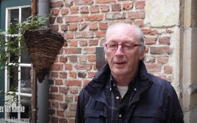Alex Van Haecke interview