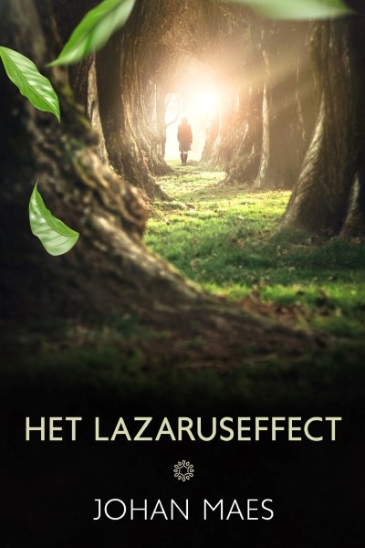 Het Lazaruseffect - Johan Maes